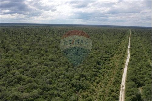 3.974 hectáreas de monte en bahía negra