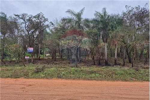 Terreno en Ypacarai — foto 4