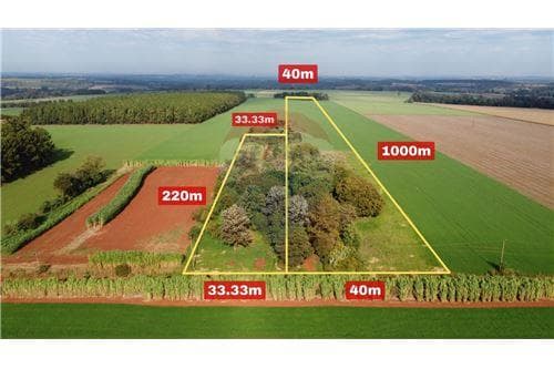 Propiedad agrícola de 4 has con 7.333 m2, foto 3