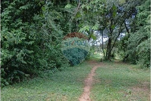 En venta Terreno 9.7 Ha. en TOBATI — foto 3