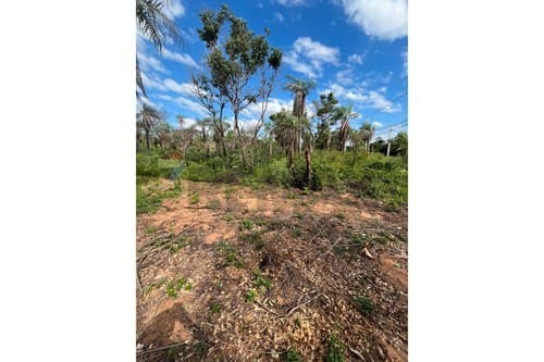 Terreno - venta - altos - cordillera paraguay, foto 2
