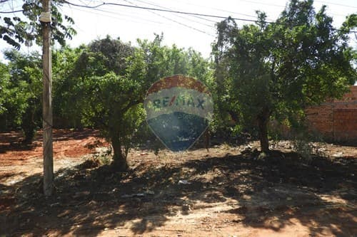 Land with privileged location!! In Luque!!! — foto 4