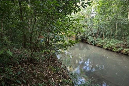 terreno en zona rural de Encarnacion — foto 5
