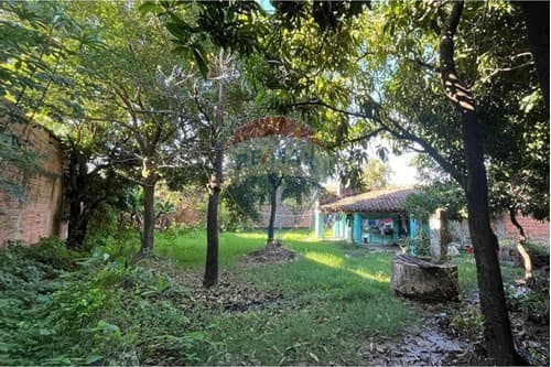 Paraguay - Central - Luque - Campo Grande — foto 5