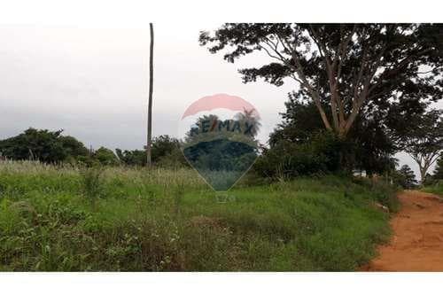Terreno en Villa del agrònomo, foto 4