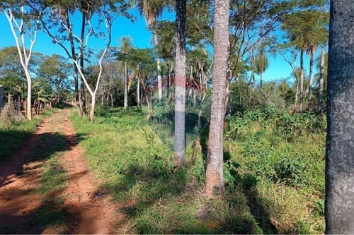 3500 m2 en J. A. Saldívar dpto Central — foto 2