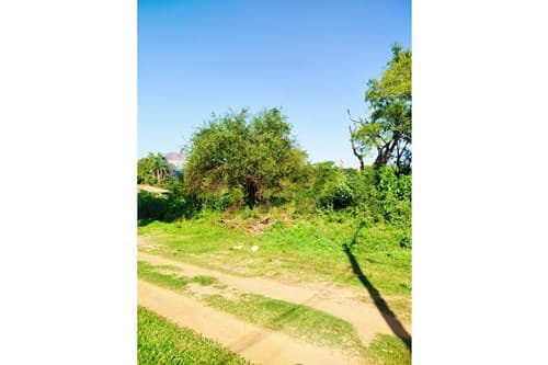 En Venta 3 Lotes junto Fraccion El Peñon Limpio, foto 2