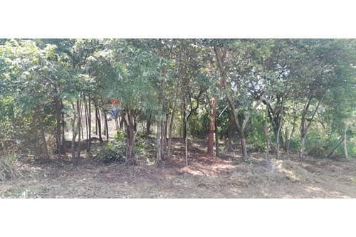 Terreno en venta en Itá — foto 5
