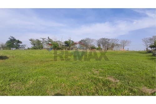 Dos terrenos en oferta!!! — foto 3