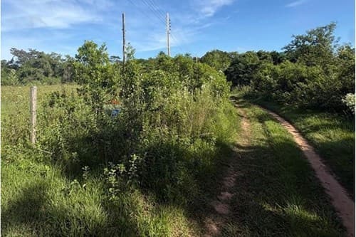Terreno Ideal en Pirayú: Inversión Natural — foto 3
