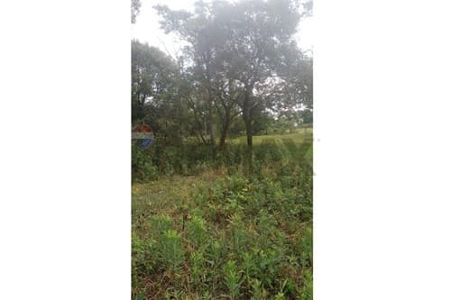 Terreno de Ensueño en Barrio San Blas, Caacupé — foto 3