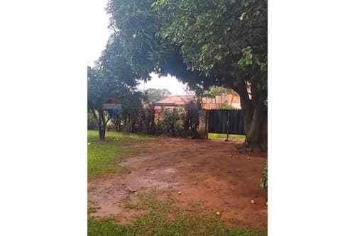 Casa + Terrenos en Luque, foto 3