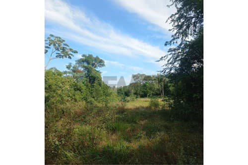 Terreno - venta - Caacupé – para loteamiento — foto 5