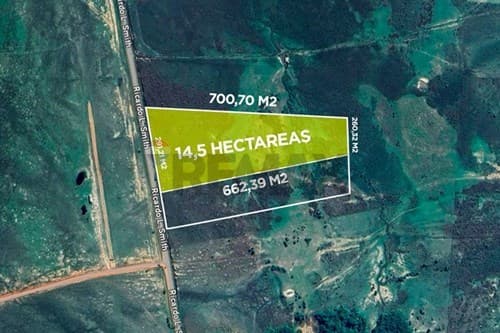 Venta de 14,5 hectáreas coronel oviedo