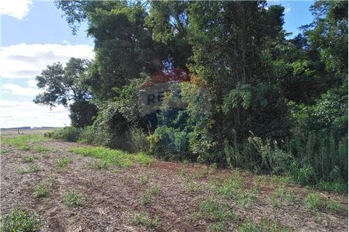 Terreno en PRODUCTIVO TERRENO, Obligado — foto 2