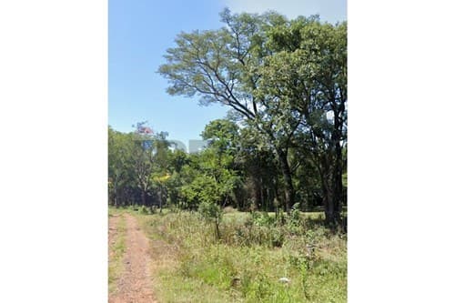 Vendo terreno en san juan del parana