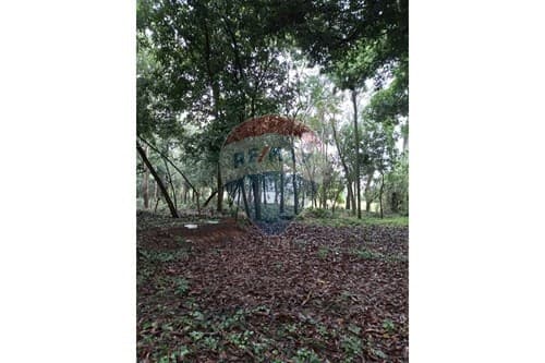de terreno en Ita, tape tuja, foto 3