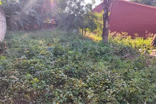 Terreno sobre asfalto Mariano Roque Alonso, foto 2