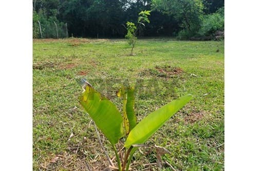 Terreno en venta, ciudad de Itauguá
