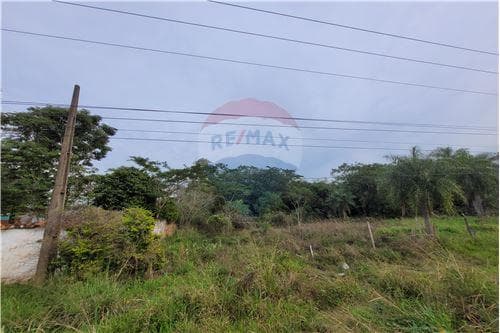 El terreno qie estabas buscando — foto 3