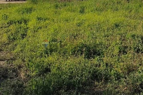 Terreno en Barrio Boreal: Construí tus Sueños, foto 3