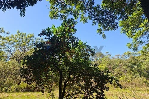 Terreno en San Bernardino: ¡Tu Inversión Ideal! — foto 4