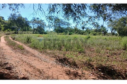 Terreno en cañadita itaugua — foto 4