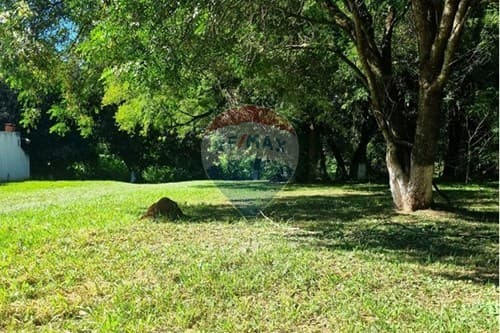 2 terrenos juntos en Encarnación — foto 4
