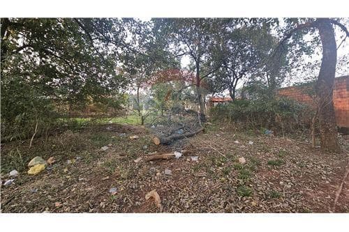 En venta terrenos en la mejor zona de caaguazu — foto 5