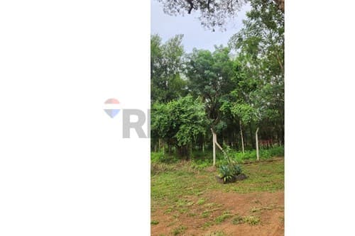 Terreno en venta en limpio – fracción campo alto — foto 2