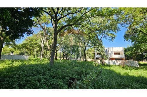 Terrenos zona sek- plaza de los mangos-lambaré, foto 1