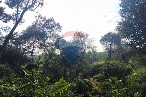 Terreno en Eusebio Ayala: ¡Tu inversión ideal! — foto 2