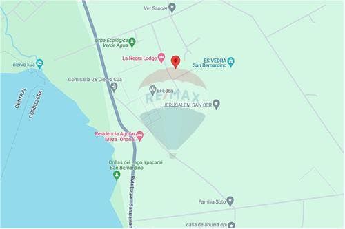 3 lotes juntos - Ciervo Cua San Bernardino — foto 5