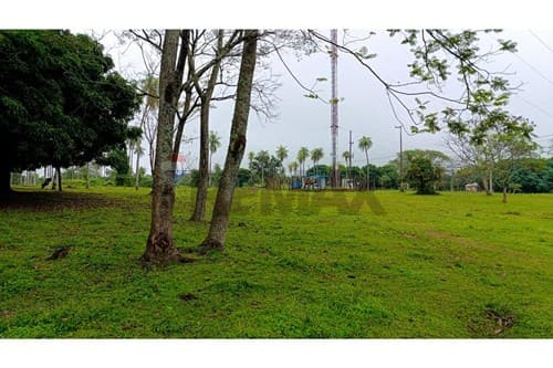 Terreno en venta de 11 hectáreas + 9.000 m², foto 2