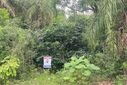 ¡Adquiere tu terreno en Altos! — foto 2