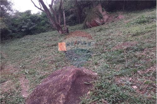 2 terrenos juntos en Yaguaron — foto 3
