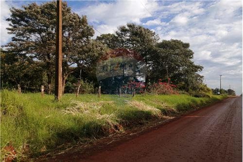 Propiedad agrícola de 4 has con 7.333 m2, foto 5