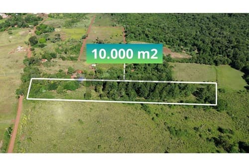 Terreno de 1 Hectárea — foto 4