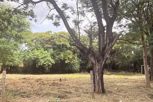 Terreno Limite Campo Grande — foto 3