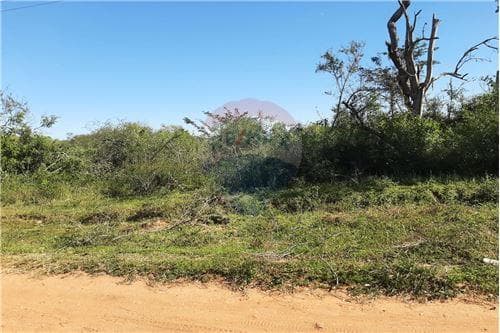 Terreno en Luque-aregua — foto 2