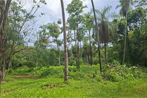 Terreno en San Bernardino Zona Anfi — foto 3