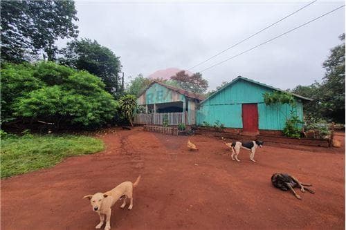 161 hts. De campo, mecanizado, bosque y piquete — foto 5