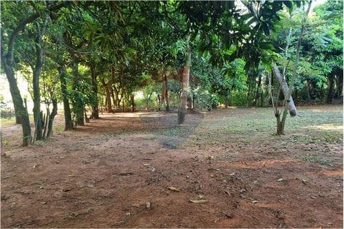 6 terrenos en itaugua- catastrados!! — foto 4