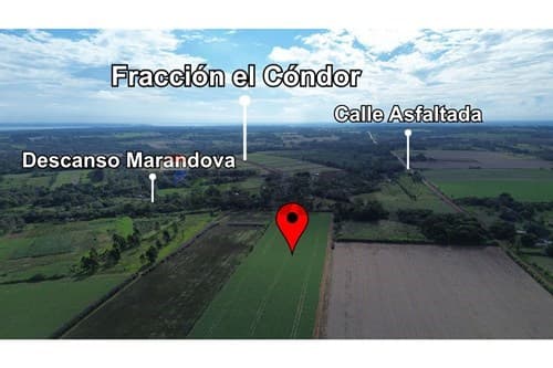 Amplio terreno con costa al río en venta — foto 4