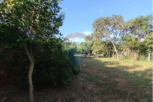Terreno en Itauguá a 500m de Ruta 2 — foto 4