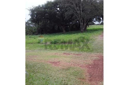 En venta terreno en arroyo y esteros — foto 4