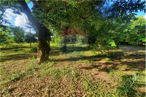 Terreno en Oferta - Barrio Chaipe - Encarnación — foto 3