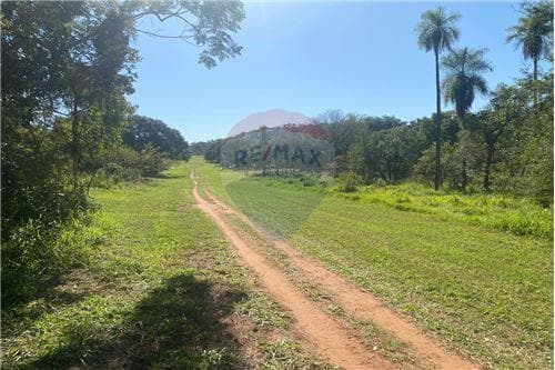 Terreno Atyra "Quinta" Fracción Belv — foto 4