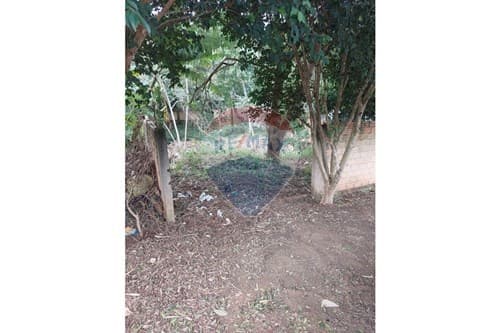 Terreno de 664 m2 - barrio san alfredo — foto 3