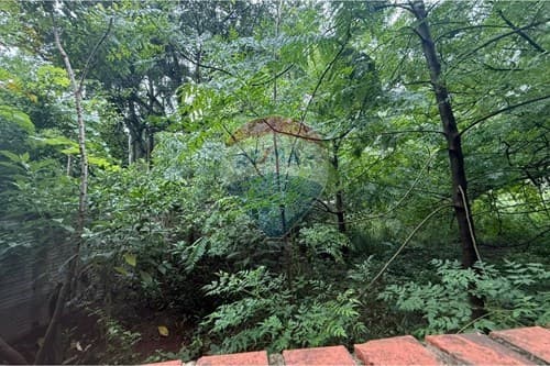 Terreno en caacupe — foto 2